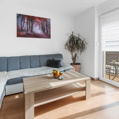 Mdm Apartment Buje